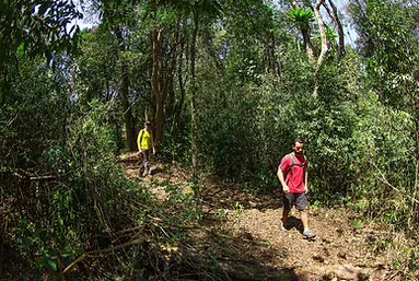 Trilhas Baú Base Camp